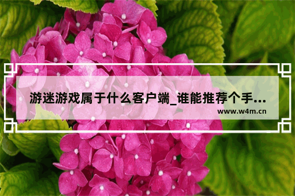 游迷游戏属于什么客户端_谁能推荐个手机游戏可以爆装备的动作游戏