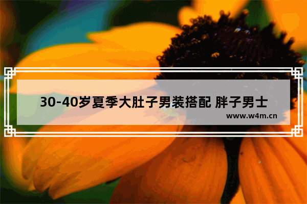 30-40岁夏季大肚子男装搭配 胖子男士夏季穿搭排名