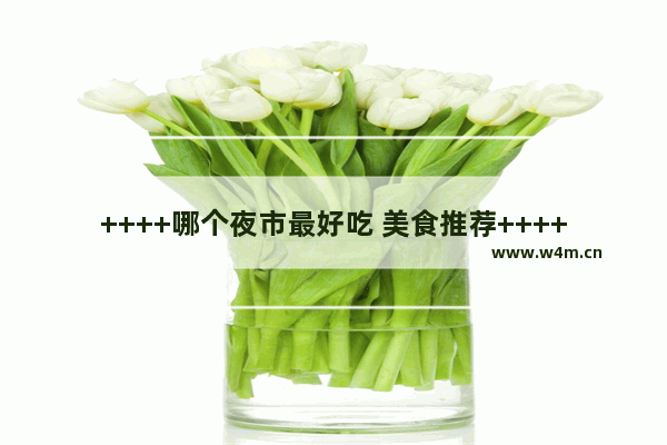 ++++哪个夜市最好吃 美食推荐++++最新