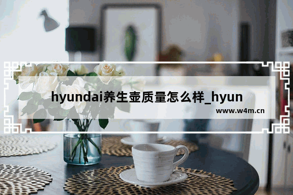 hyundai养生壶质量怎么样_hyundai热水壶使用方法