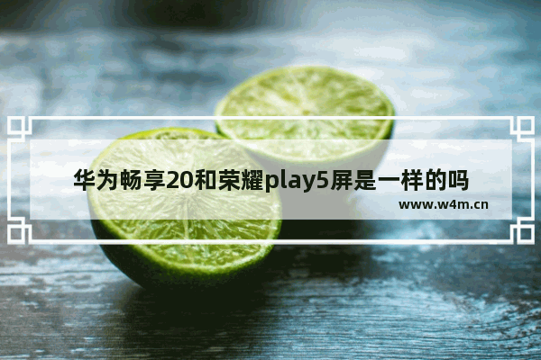 华为畅享20和荣耀play5屏是一样的吗 华为和荣耀小屏幕手机推荐哪个