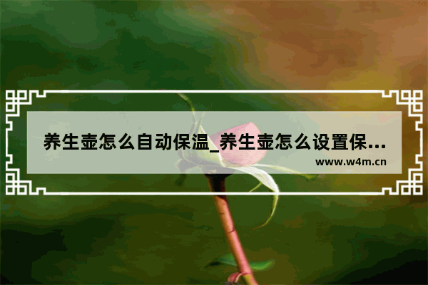 养生壶怎么自动保温_养生壶怎么设置保温到50度