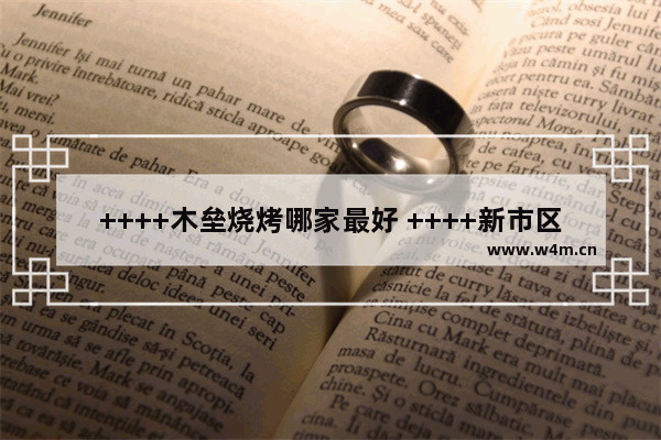 ++++木垒烧烤哪家最好 ++++新市区美食推荐烧烤