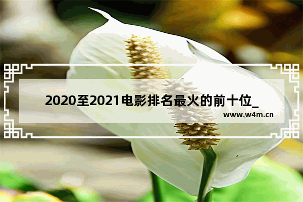 2020至2021电影排名最火的前十位_最新电影排行榜前十名动作电影名字叫什么来着