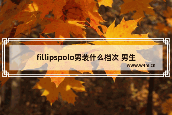 fillipspolo男装什么档次 男生夏天美式穿搭一套