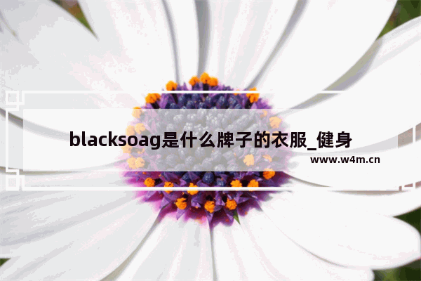 blacksoag是什么牌子的衣服_健身男夏天穿搭