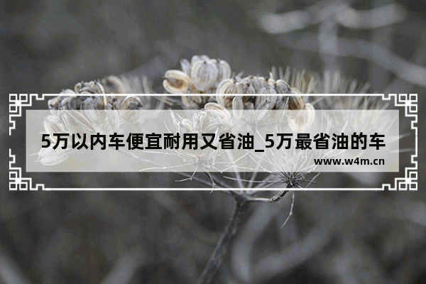 5万以内车便宜耐用又省油_5万最省油的车排行榜第一名