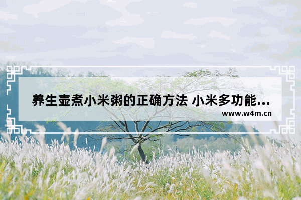 养生壶煮小米粥的正确方法 小米多功能养生壶能煮药吗