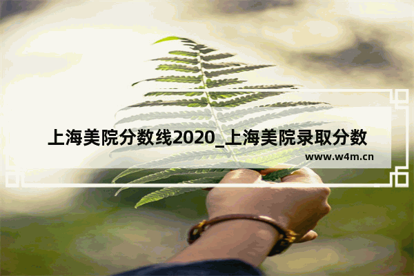 上海美院分数线2020_上海美院录取分数线2020