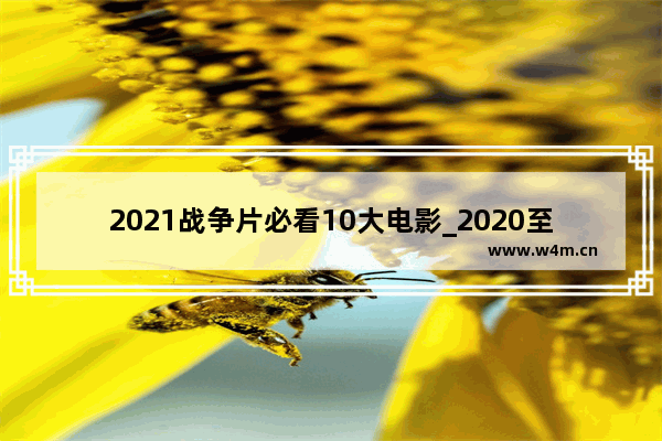 2021战争片必看10大电影_2020至2021电影排名最火的前十位