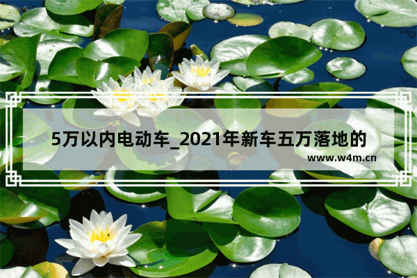 5万以内电动车_2021年新车五万落地的车有哪些