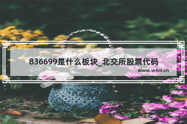 836699是什么板块_北交所股票代码