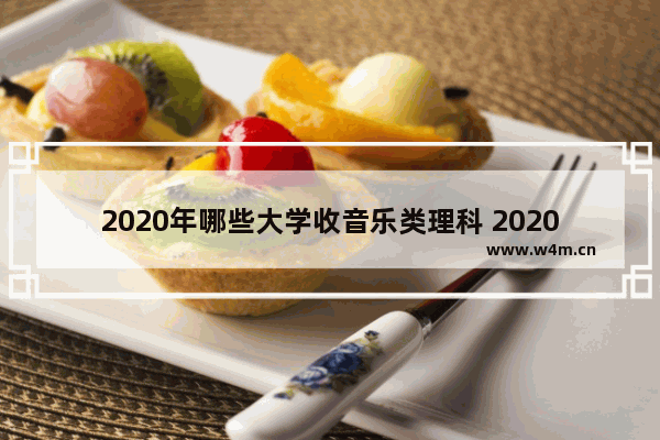 2020年哪些大学收音乐类理科 2020年上音高考分数线