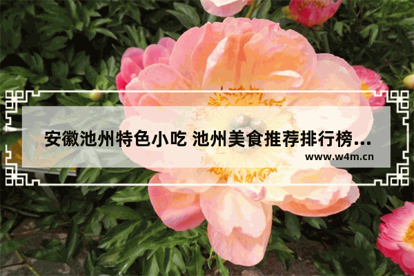 安徽池州特色小吃 池州美食推荐排行榜前十名有哪些