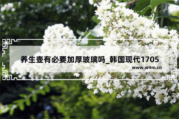 养生壶有必要加厚玻璃吗_韩国现代1705养生壶加厚玻璃全自动多功能煎中药壶电煮茶壶保健壶这个怎么样