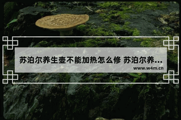 苏泊尔养生壶不能加热怎么修 苏泊尔养生壶多功能全自动加热