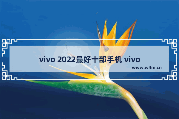 vivo 2022最好十部手机 vivo性价比手机推荐排行榜最新