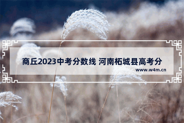 商丘2023中考分数线 河南柘城县高考分数线