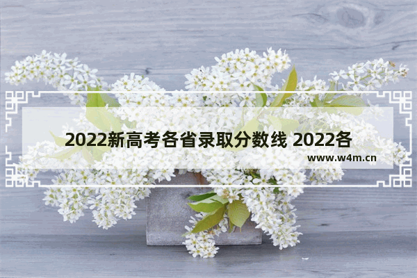 2022新高考各省录取分数线 2022各地区高考分数线