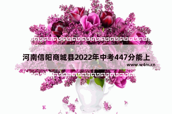 河南信阳商城县2022年中考447分能上什么高中 2022高考分数线商城县