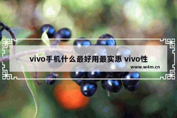 vivo手机什么最好用最实惠 vivo性价比手机推荐