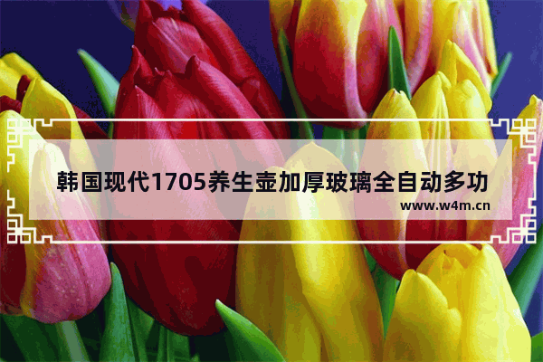 韩国现代1705养生壶加厚玻璃全自动多功能煎中药壶电煮茶壶保健壶这个怎么样 全自动玻璃电养生壶