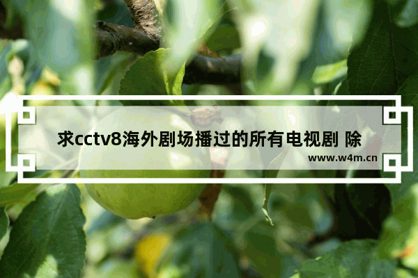 求cctv8海外剧场播过的所有电视剧 除了韩剧和日剧_能推荐一部感人的电影吗 要那种看了感人到放声大哭的电影 越感人越好