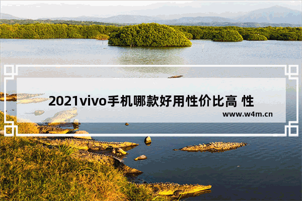 2021vivo手机哪款好用性价比高 性价比高vivo手机推荐哪款好用一点