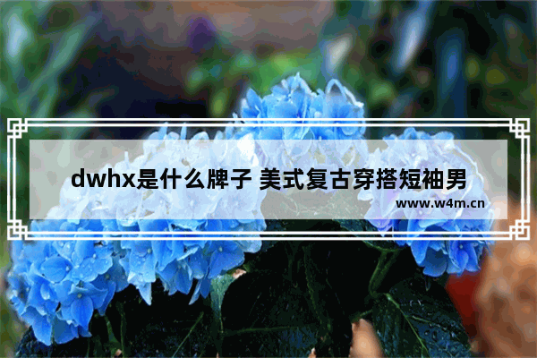 dwhx是什么牌子 美式复古穿搭短袖男