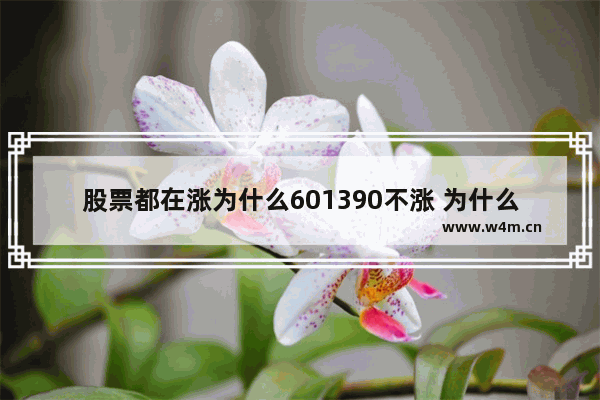 股票都在涨为什么601390不涨 为什么有些股票赚钱很多 但不涨