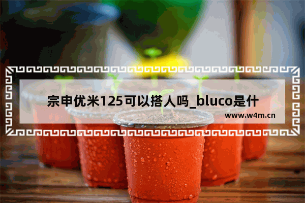 宗申优米125可以搭人吗_bluco是什么牌子