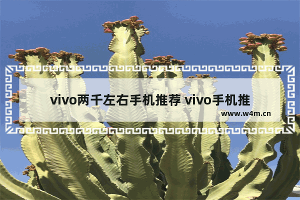 vivo两千左右手机推荐 vivo手机推荐性价比高两千元左右