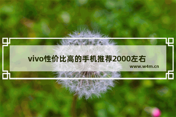 vivo性价比高的手机推荐2000左右 vivo手机推荐性价比高两千多左右