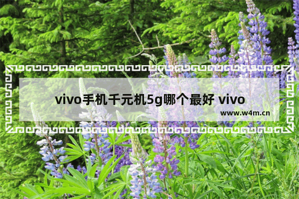 vivo手机千元机5g哪个最好 vivo百元5g手机推荐性价比高