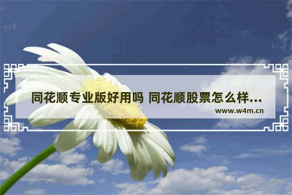 同花顺专业版好用吗 同花顺股票怎么样可以买吗