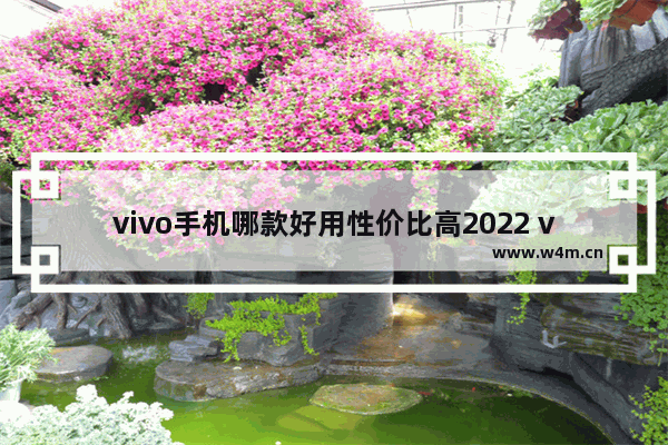 vivo手机哪款好用性价比高2022 vivo手机推荐性价比高5g手机