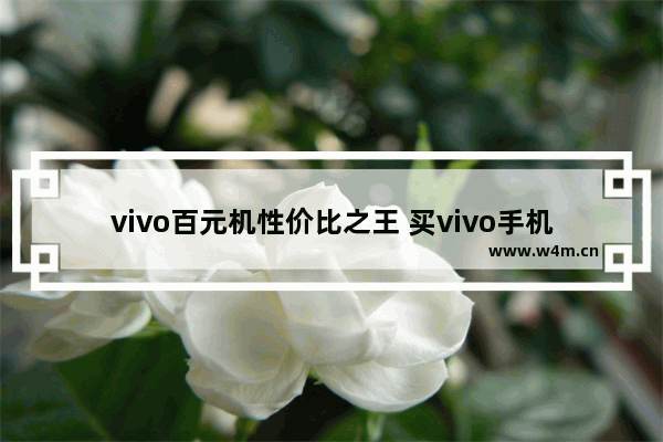 vivo百元机性价比之王 买vivo手机推荐性价比高吗多少钱