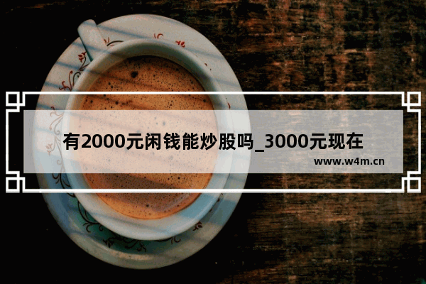 有2000元闲钱能炒股吗_3000元现在进入股市 一个月保守赚多少呢