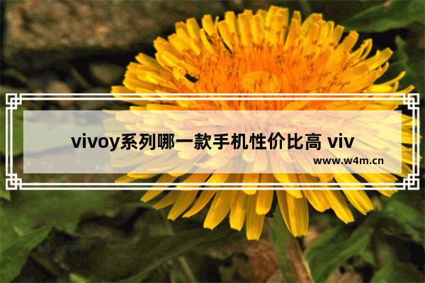 vivoy系列哪一款手机性价比高 vivoy系列手机推荐性价比高