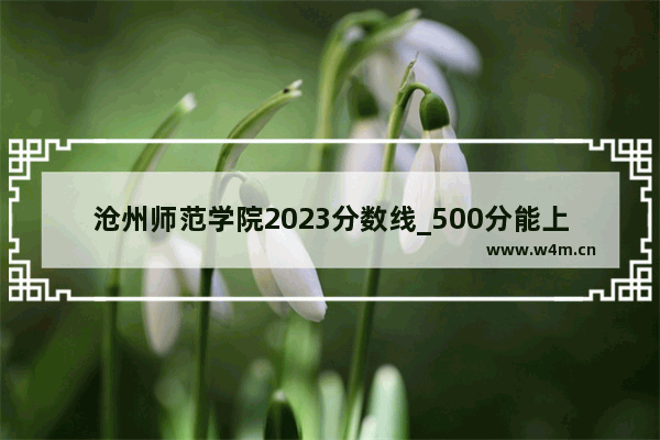 沧州师范学院2023分数线_500分能上沧州一中吗