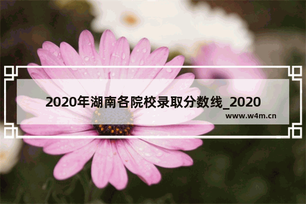 2020年湖南各院校录取分数线_2020湖南二本最低分