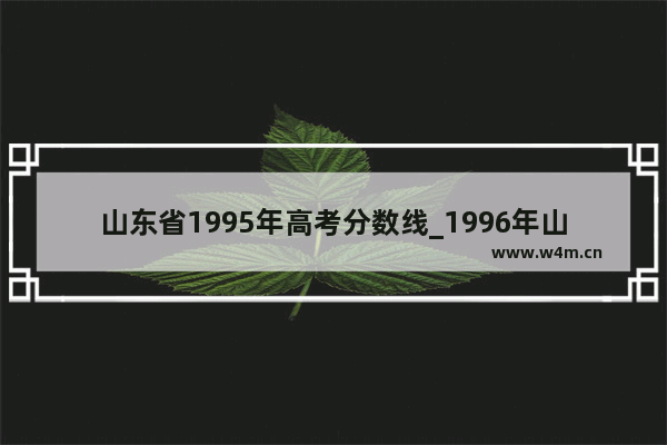 山东省1995年高考分数线_1996年山东高考分数线