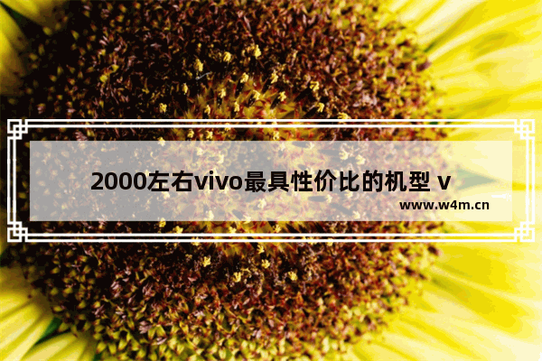 2000左右vivo最具性价比的机型 vivo手机推荐性价比高3款机型有哪些