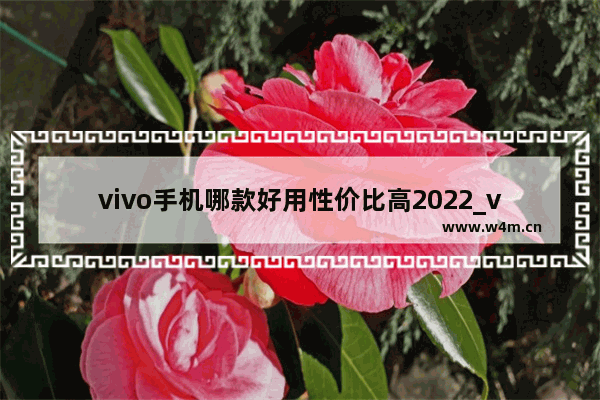 vivo手机哪款好用性价比高2022_vivo 今年发布的新机型