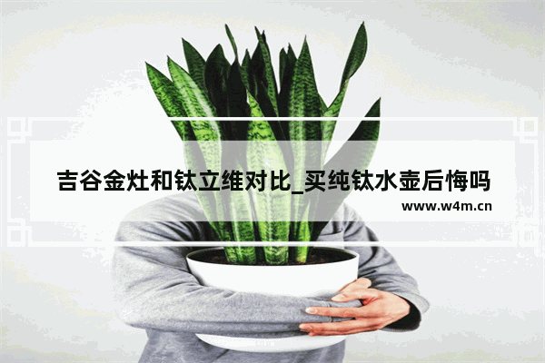 吉谷金灶和钛立维对比_买纯钛水壶后悔吗