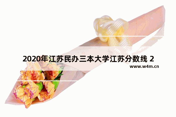 2020年江苏民办三本大学江苏分数线 2017年高考分数线江苏