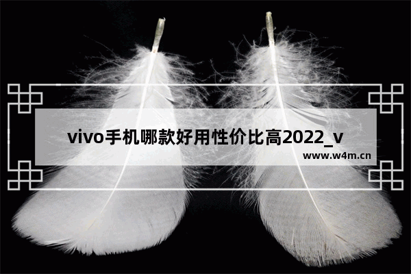 vivo手机哪款好用性价比高2022_vivo手机哪个系列性价比高