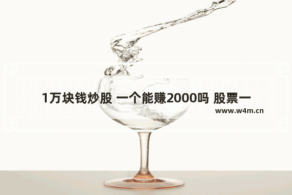 1万块钱炒股 一个能赚2000吗 股票一般能赚多少钱