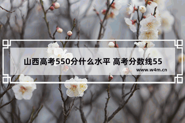 山西高考550分什么水平 高考分数线550怎么样