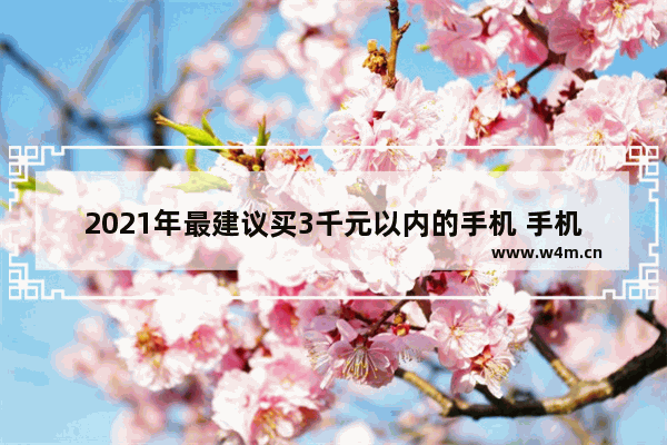 2021年最建议买3千元以内的手机 手机推荐千元以下机型